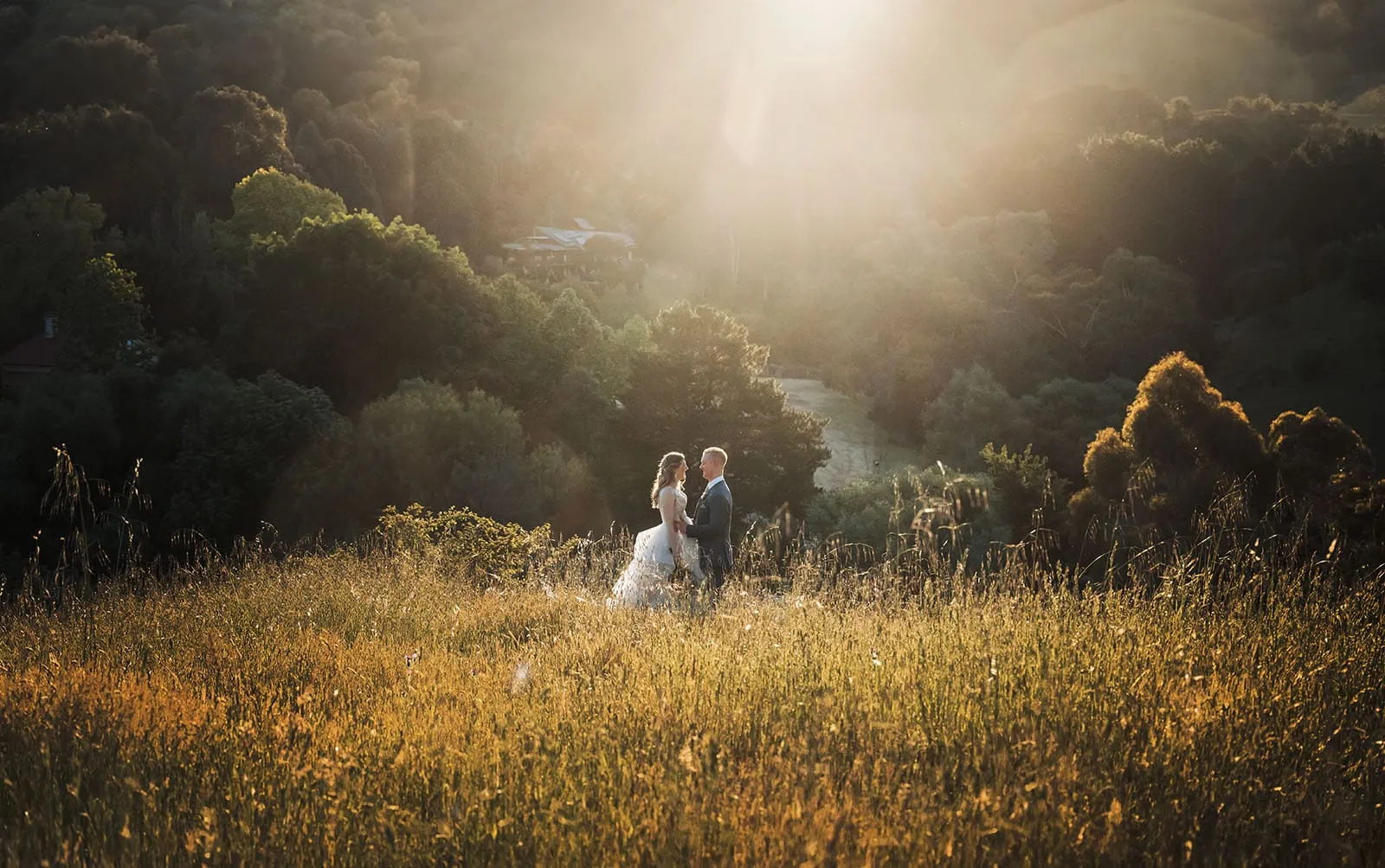 inglewood inn 12 Romantic couple in formal attire embracing at sunset in a golden field with forest background.