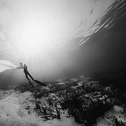 Underwater Wreck The Dress Shoot