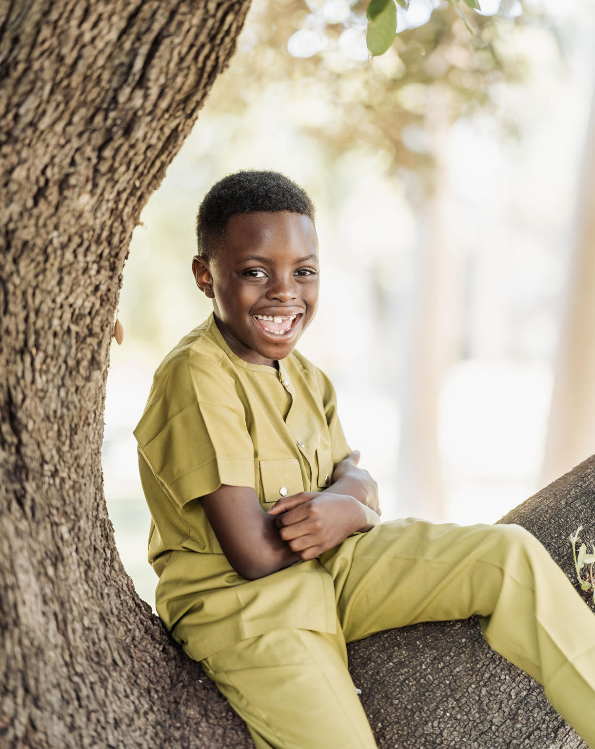 family photoshoot in veale gardens 17 A smiling boy in olive outfit sits on a tree branch in a sunny park.