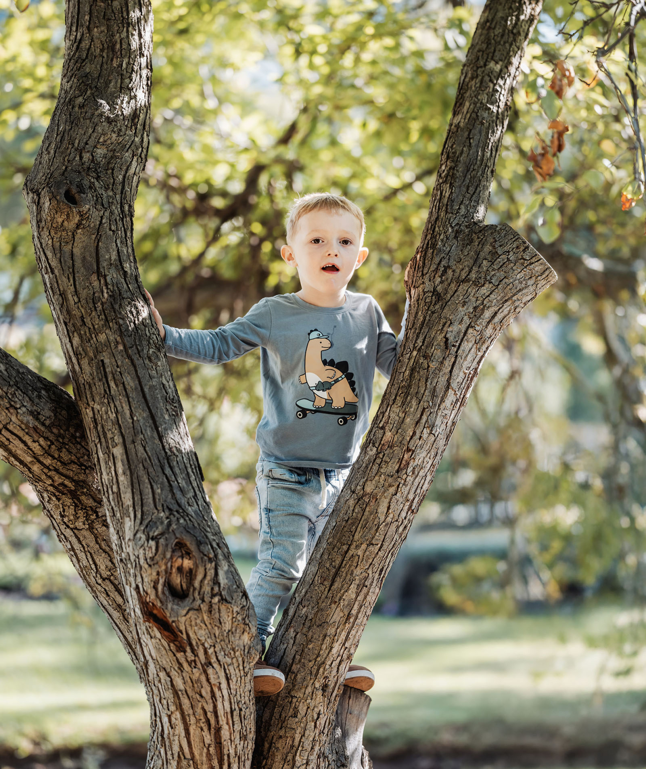 veale gardens family photography 107 Young boy climbing tree, wearing dinosaur shirt, enjoying nature in sunny park setting.
