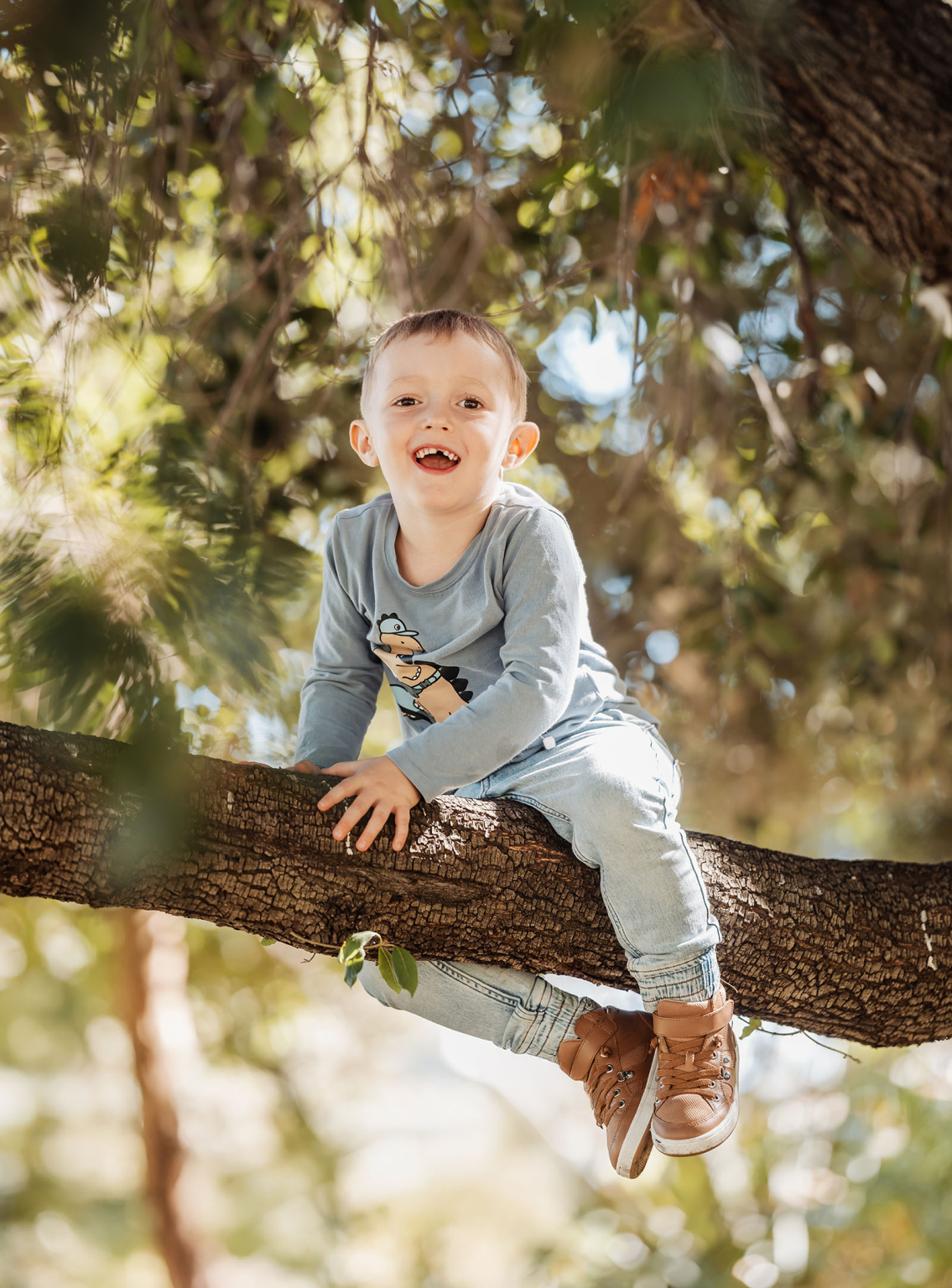 veale gardens family photography 113 Child happily sitting on a tree branch surrounded by green leaves under natural sunlight.