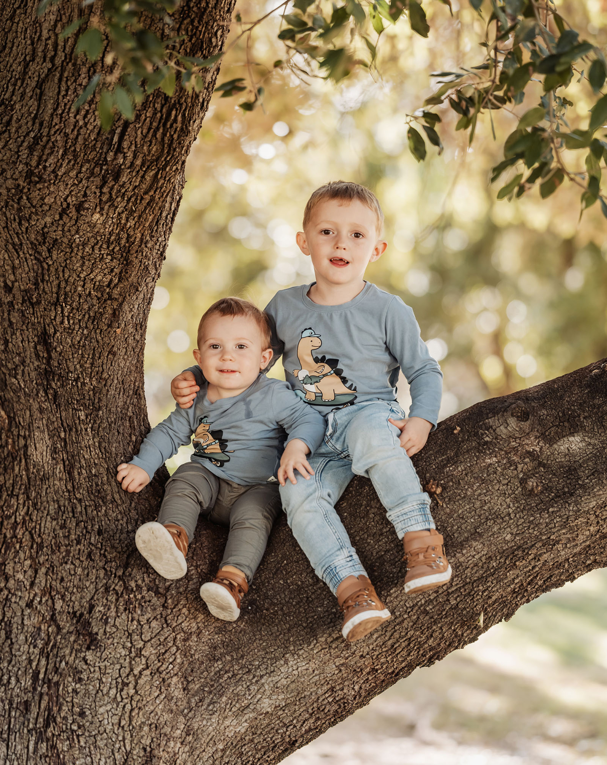 veale gardens family photography 112 Two children sitting on a tree branch, enjoying nature, wearing matching dinosaur shirts.