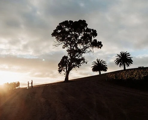 Silhouetted couple at sunset on hill at Longview Vineyard