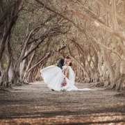 the vine shed wedding - brydie & nathan 5 The Vine Shed Wedding - Brydie & Nathan