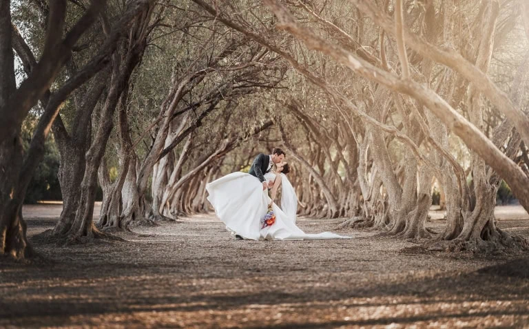 The Vine Shed Wedding - Brydie & Nathan