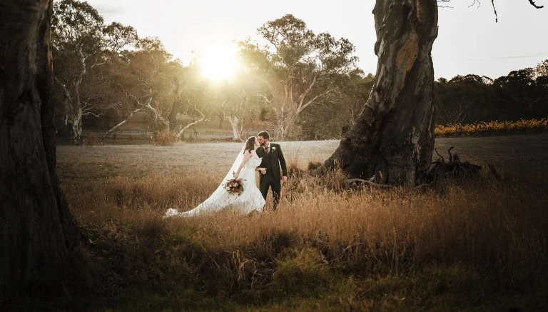 howard vineyard wedding - hillary & simon 1 Howard Vineyard Wedding - Hillary & Simon