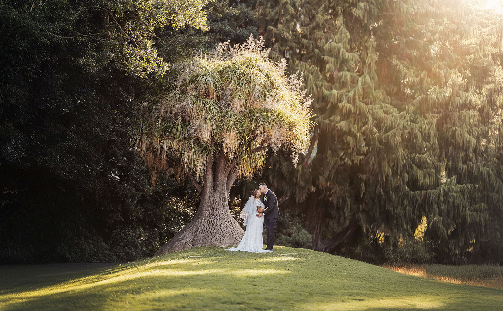 botanic gardens adelaide wedding - melanie & adrian 250 Bride and groom exchanging vows under a picturesque tree at an outdoor wedding ceremony.