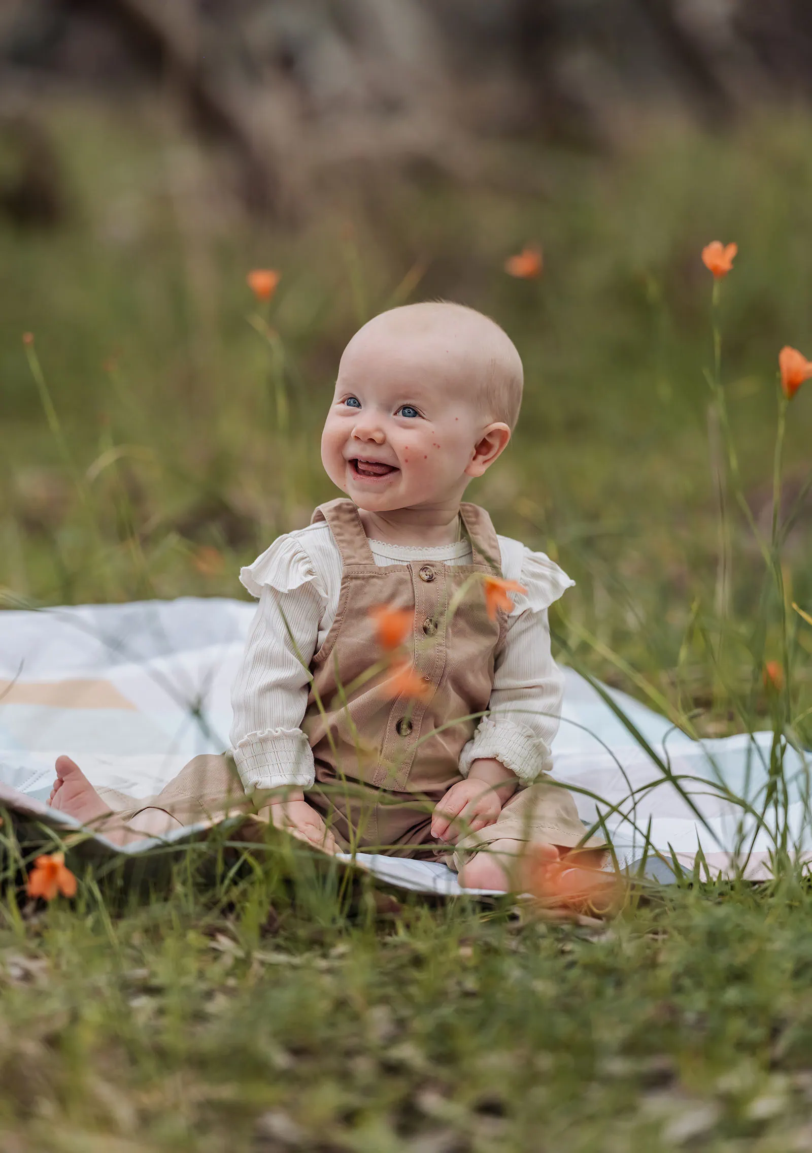 myponga family photography 23 Baby exploring nature in a forest, surrounded by greenery and sunlight.