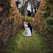 mt lofty house elopement - kimberley & michael 3 Mt Lofty House Elopement - Kimberley & Michael