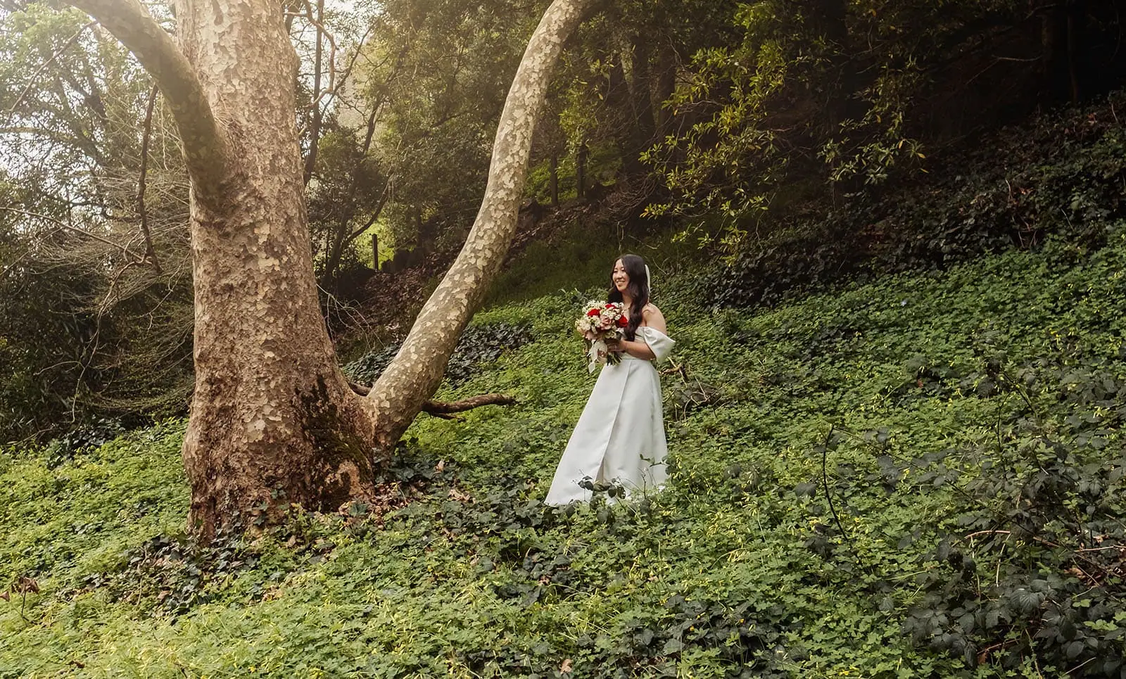 utopia waterfall gully wedding - sally & ben 241 Serene forest landscape with sunlight filtering through lush green trees.
