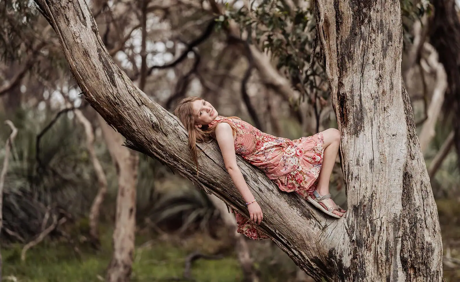 myponga family photography 34 Girl sitting on a tree branch in nature, enjoying outdoor adventure.