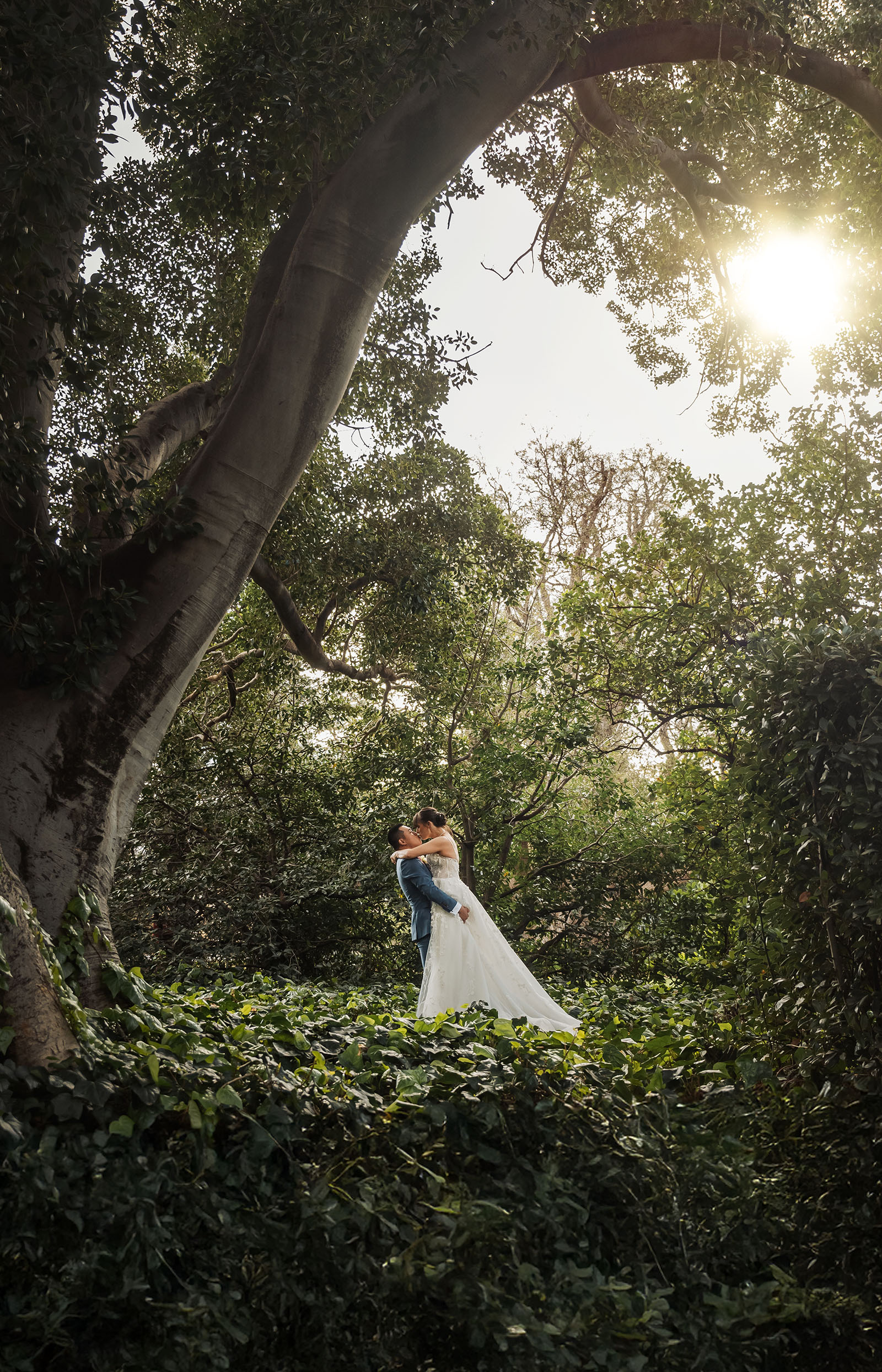 adelaide botanic gardens summerhouse wedding - belinda & ian 176 Couple embracing in lush green forest setting, capturing romance and nature.
