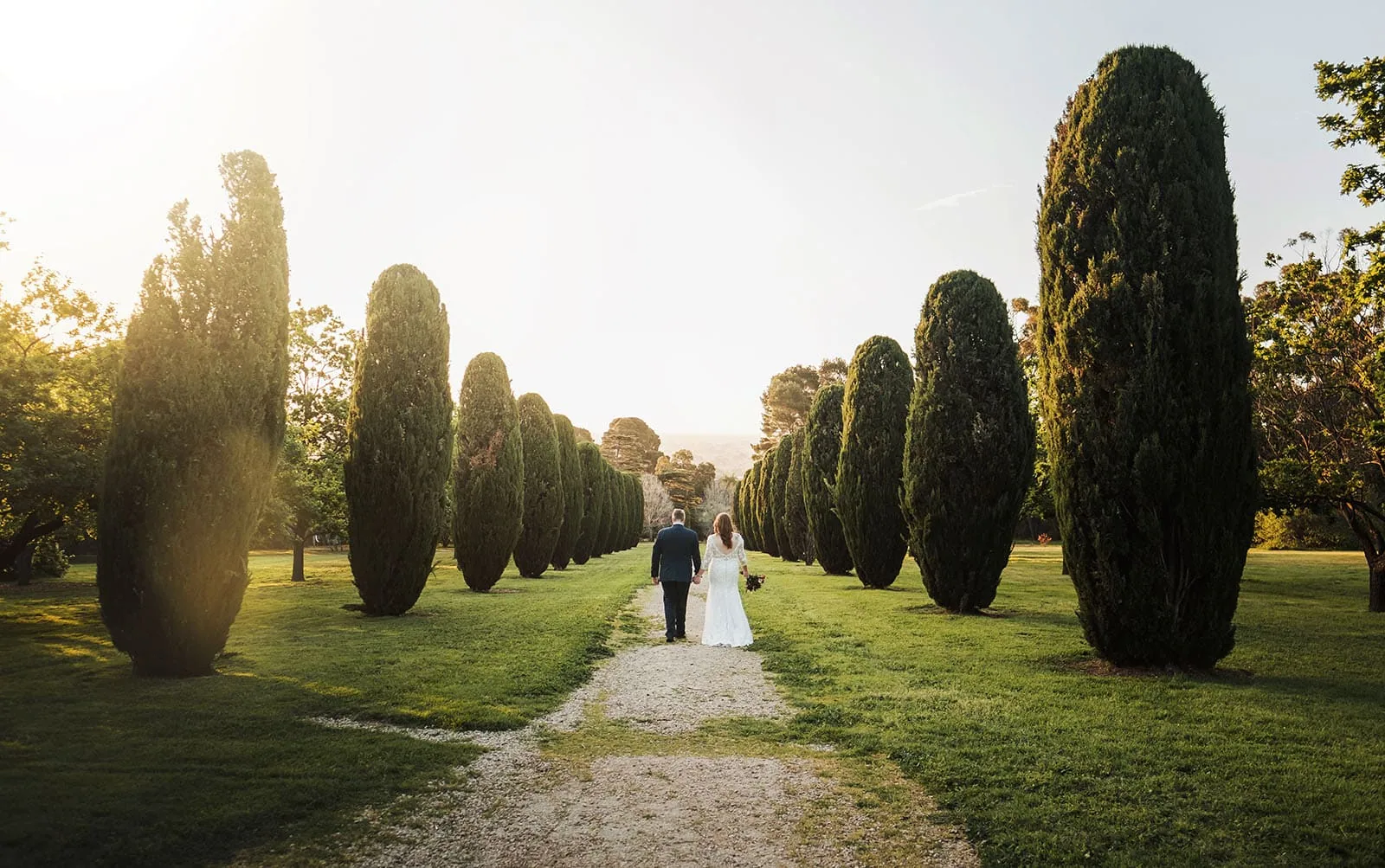 carrick hill wedding - jo & david 315 Couple walking hand-in-hand through sunlit forest path, surrounded by lush green trees.