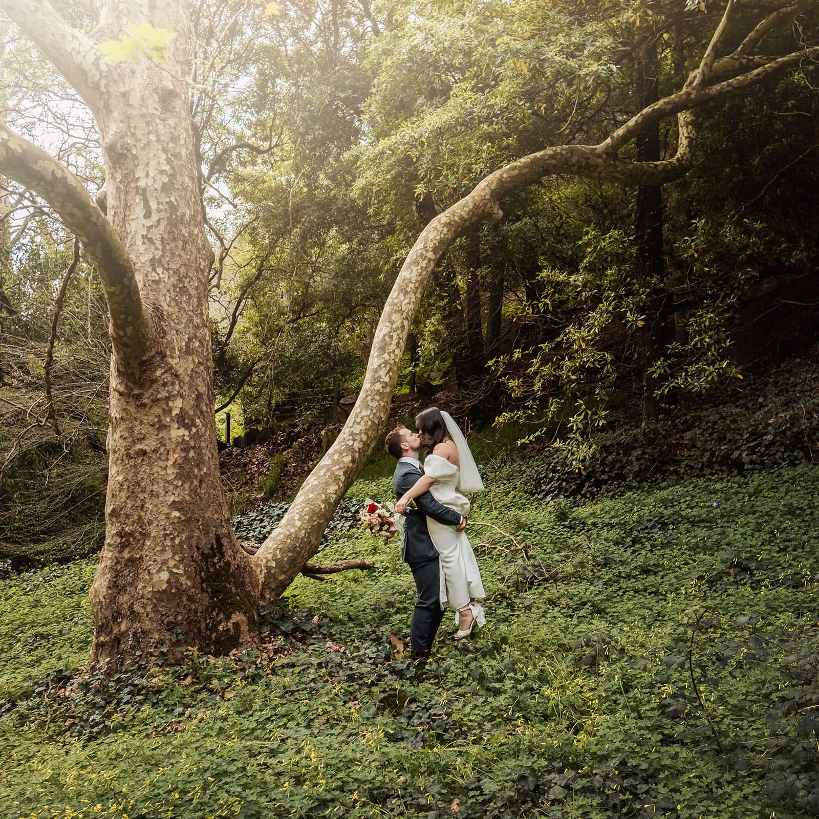 utopia waterfall gully wedding - sally & ben 242 Enchanting forest wedding with elegant decor and romantic ambiance.