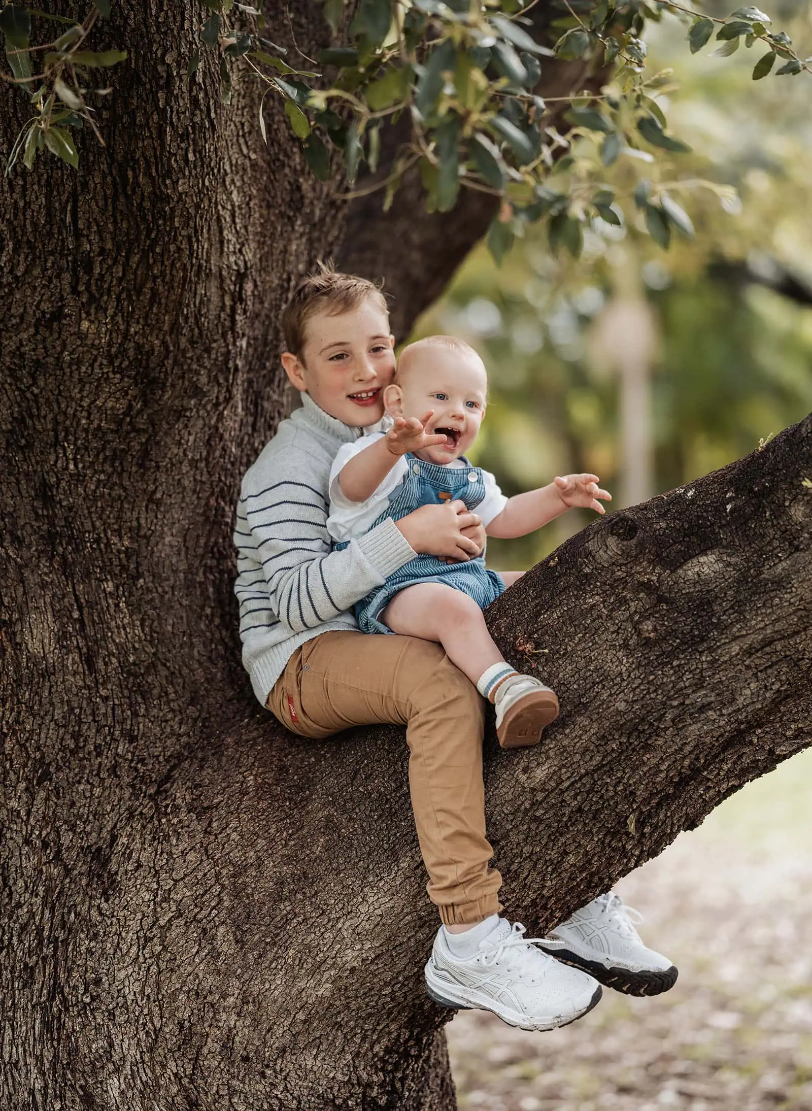 southern parklands family photography 30 Children playing joyfully on a tree swing in a sunny park.