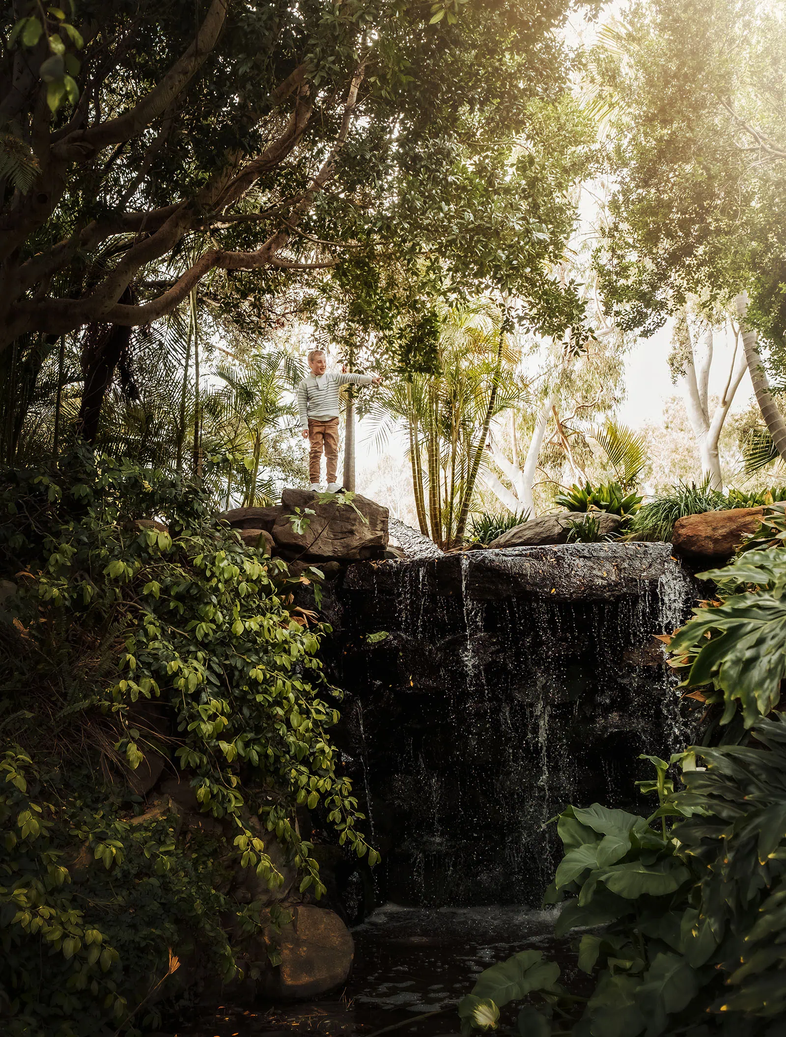 southern parklands family photography 44 Majestic waterfall flowing through lush green forest, nature landscape scene.