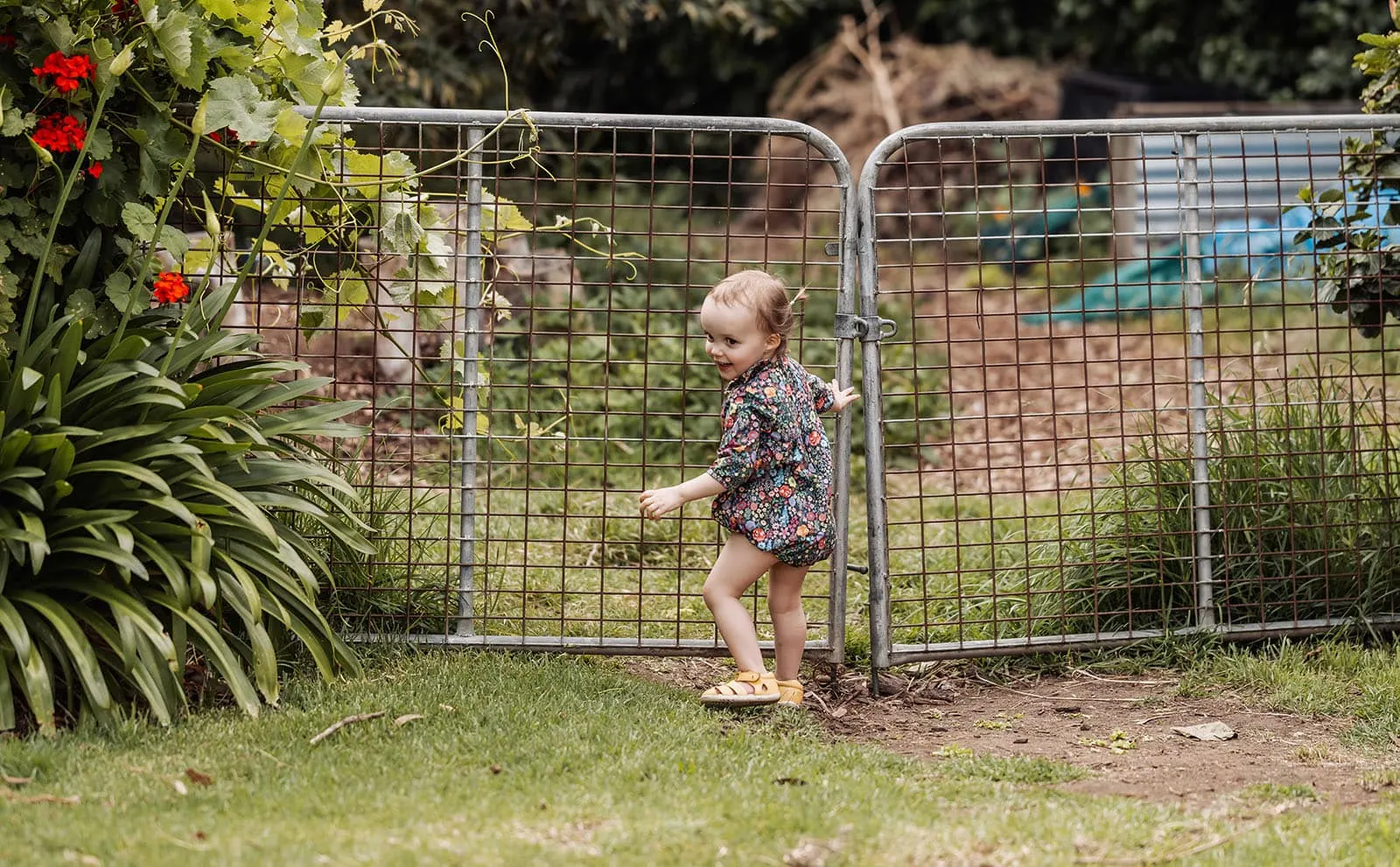 goodwood family photoshoot 128 Child opening garden gate on sunny day.