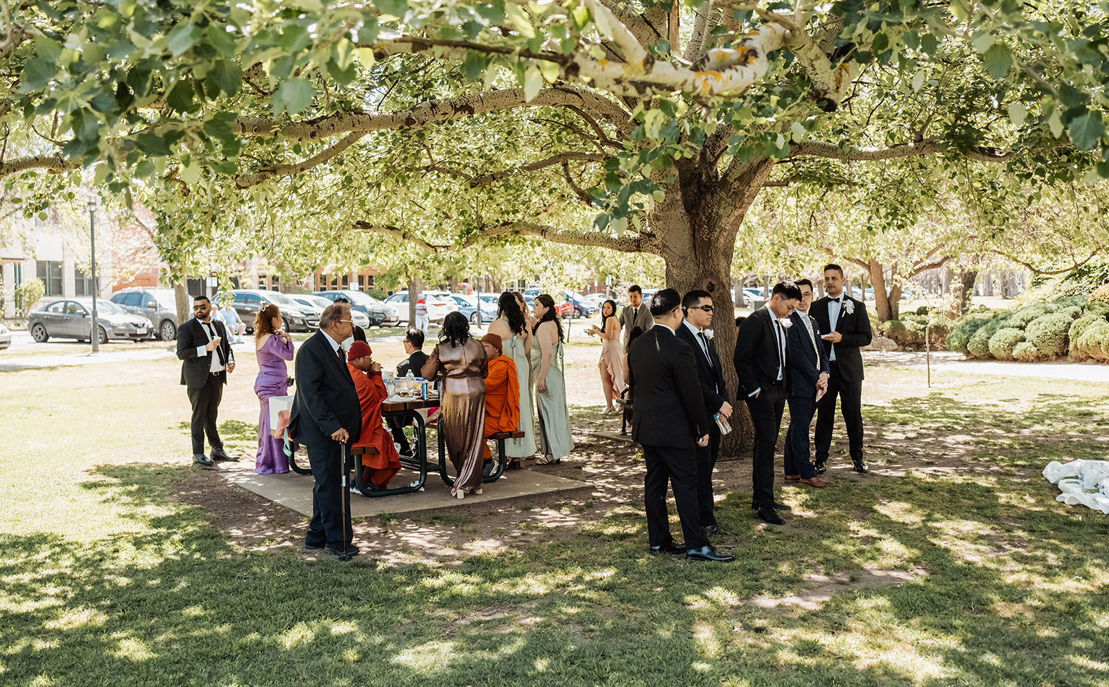 sunnybrae rose garden wedding - celina & anuj 37 Community event under a large tree, people enjoying nature outdoors.