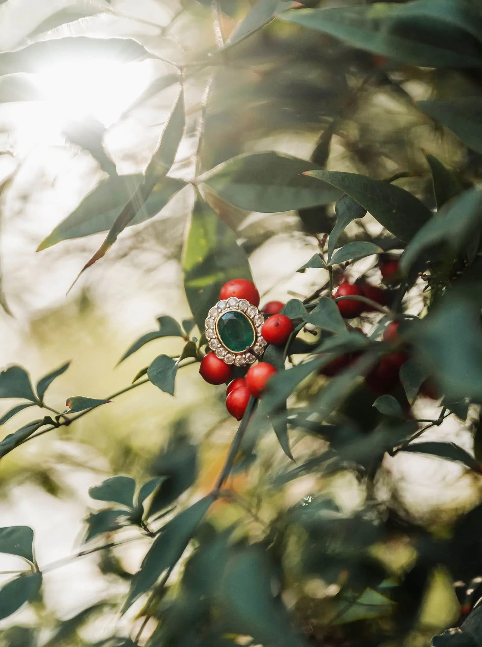 himeji gardens couples shoot - tom & tess 94 Elegant jewelry amidst berries and foliage.