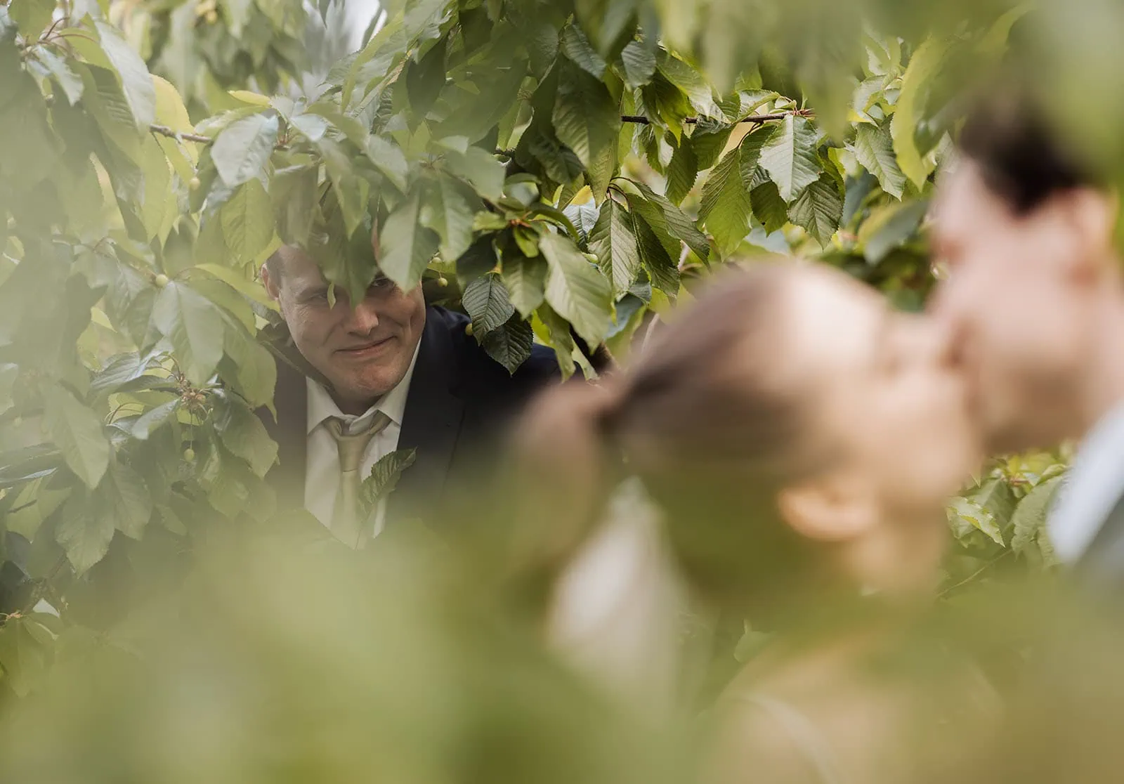 fleurieu cherries wedding - kimberley & richard 82 Romantic couple kissing in vibrant garden scene.