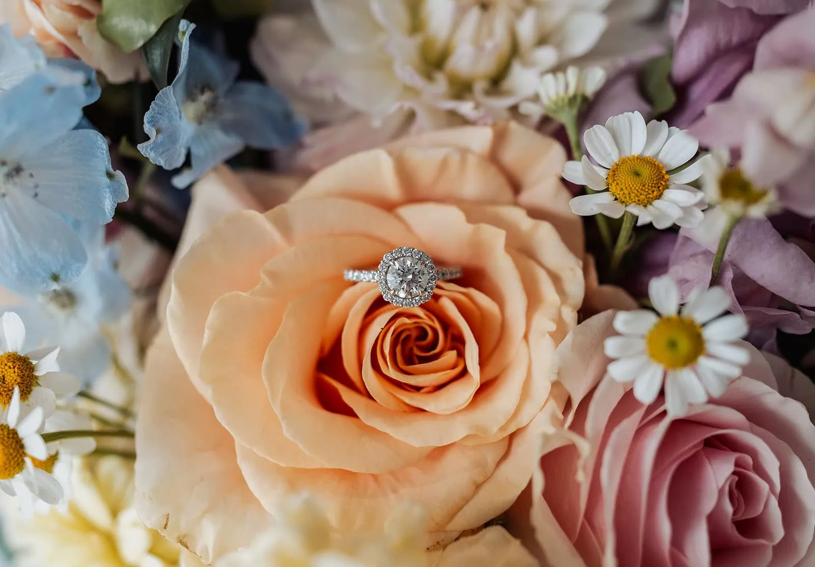 silvestris of clarendon wedding - sam & wayne 193 Engagement ring nestled in a romantic rose bouquet.