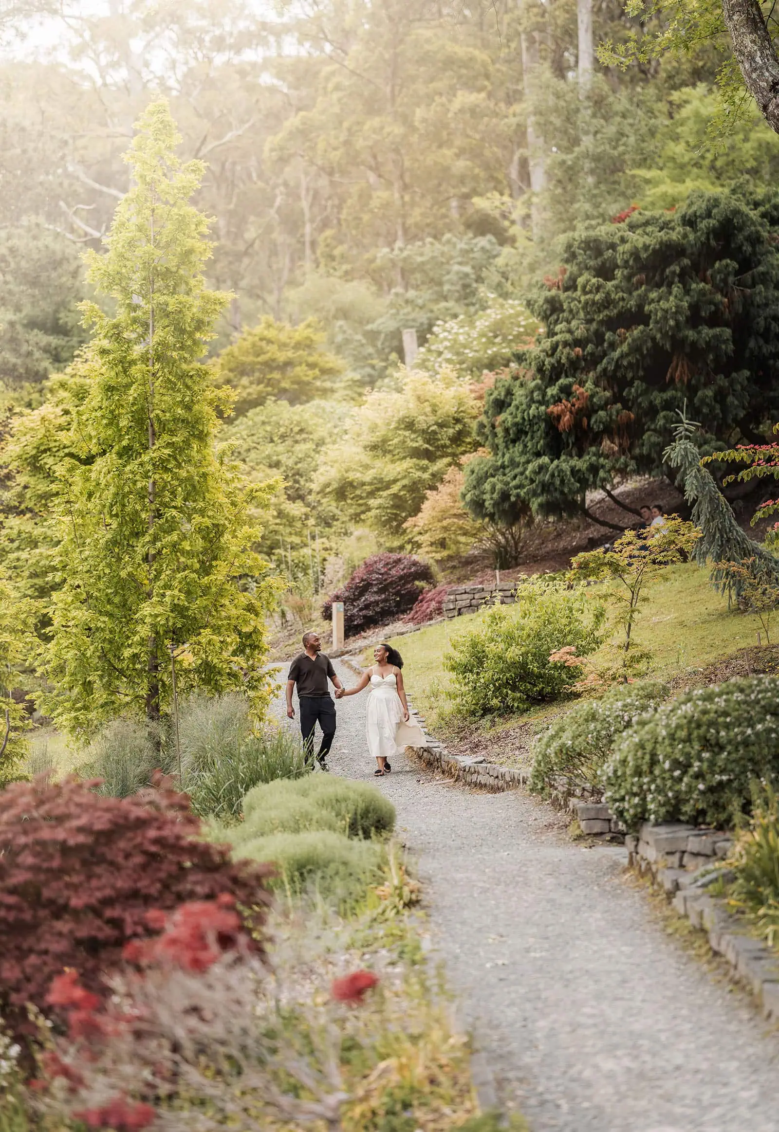 mt lofty botanic gardens couples shoot – ruth & emanuel 25 Serene garden path surrounded by lush greenery and romantic floral arches.