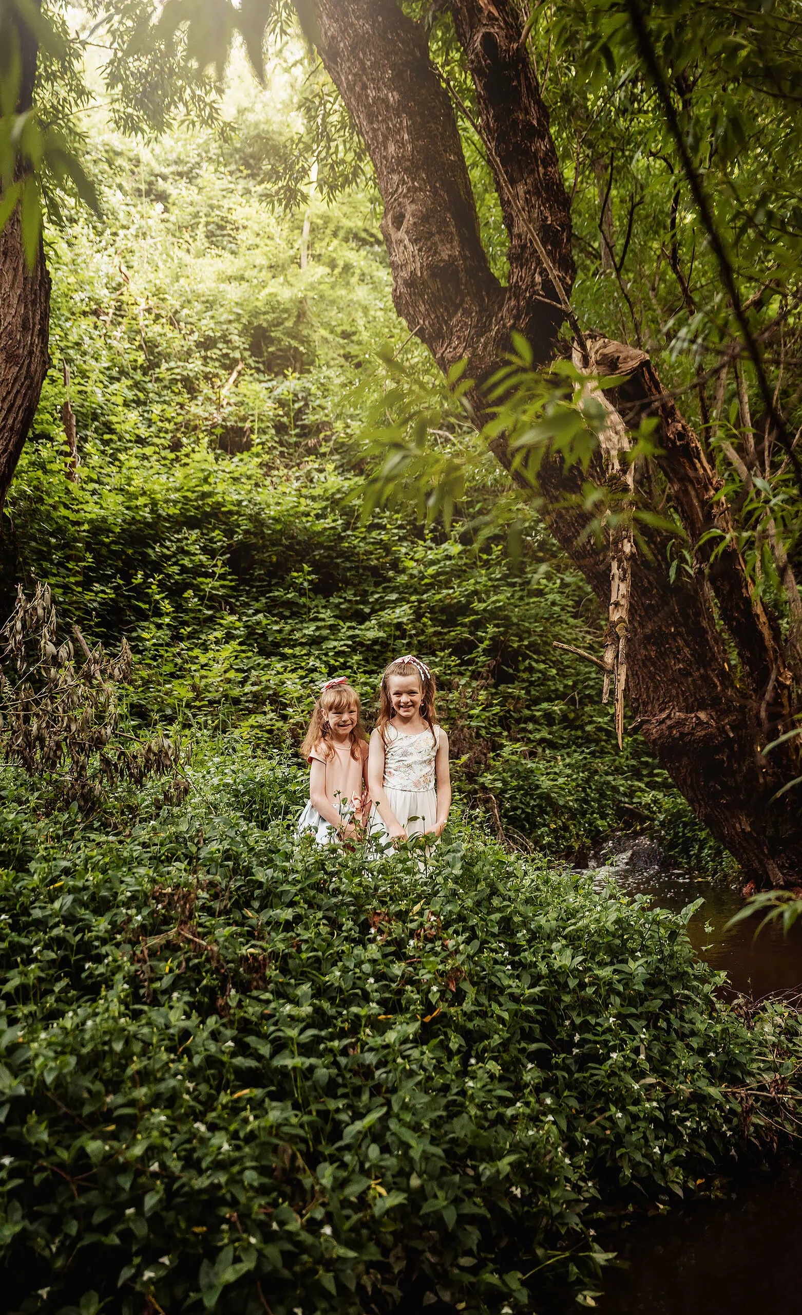 ironbank family photography 126 Young girls play in a lush forest, sunlight filtering through trees, creating a serene atmosphere.