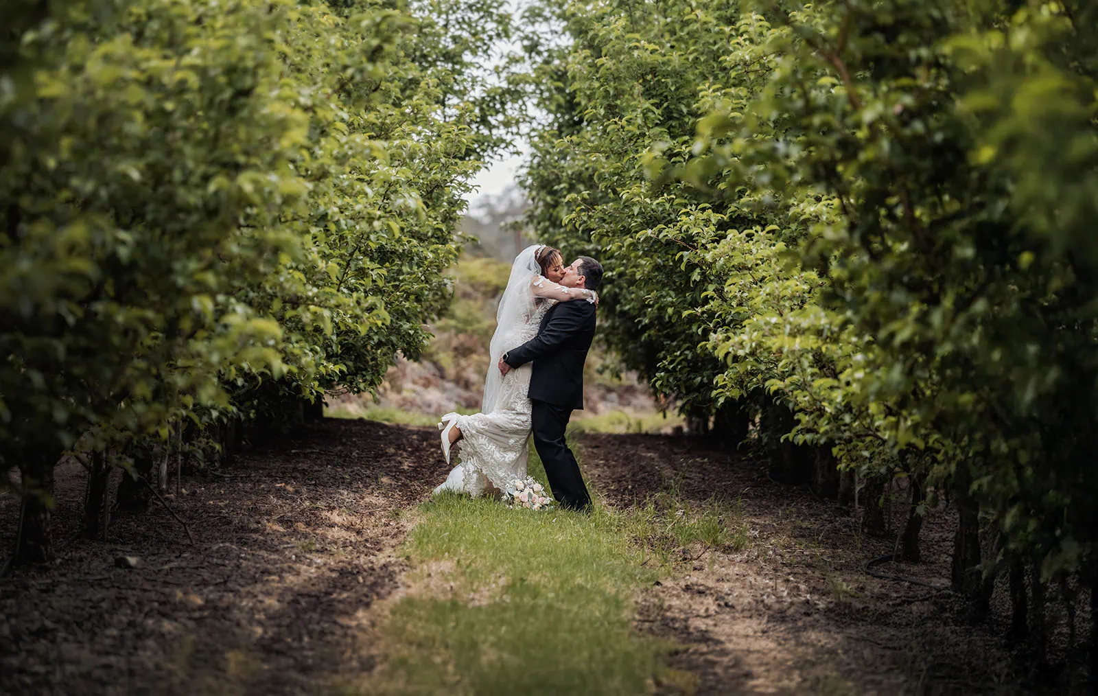 wedding at the manor in basket range - maryam & jason 160 Couple embracing in orchard wedding setting with blooms and sunshine.