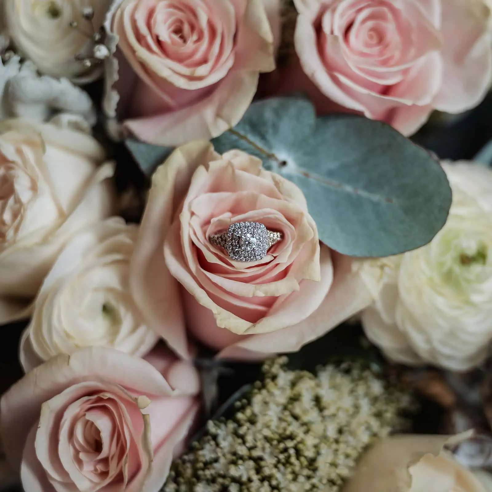 wedding at the manor in basket range - maryam & jason 121 Elegant rose gold ring with a sparkling diamond centerpiece.
