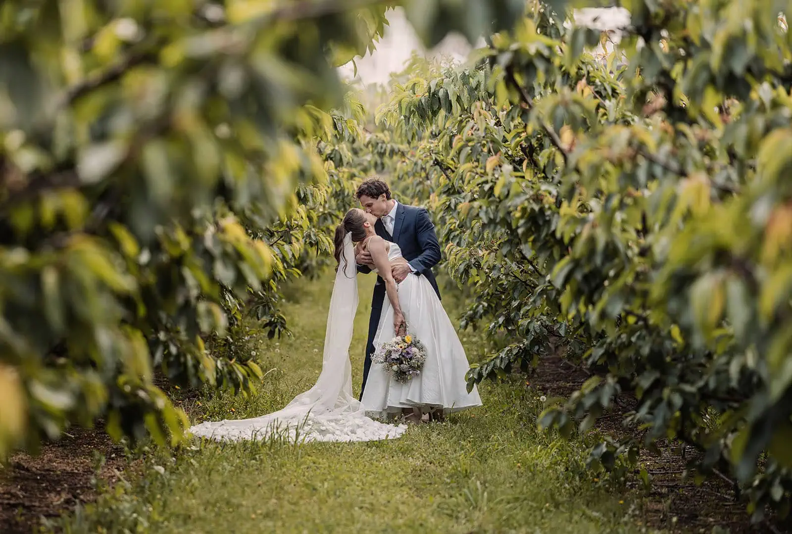 fleurieu cherries wedding - kimberley & richard 81 Romantic orchard wedding scene with elegant decorations and lush green surroundings.