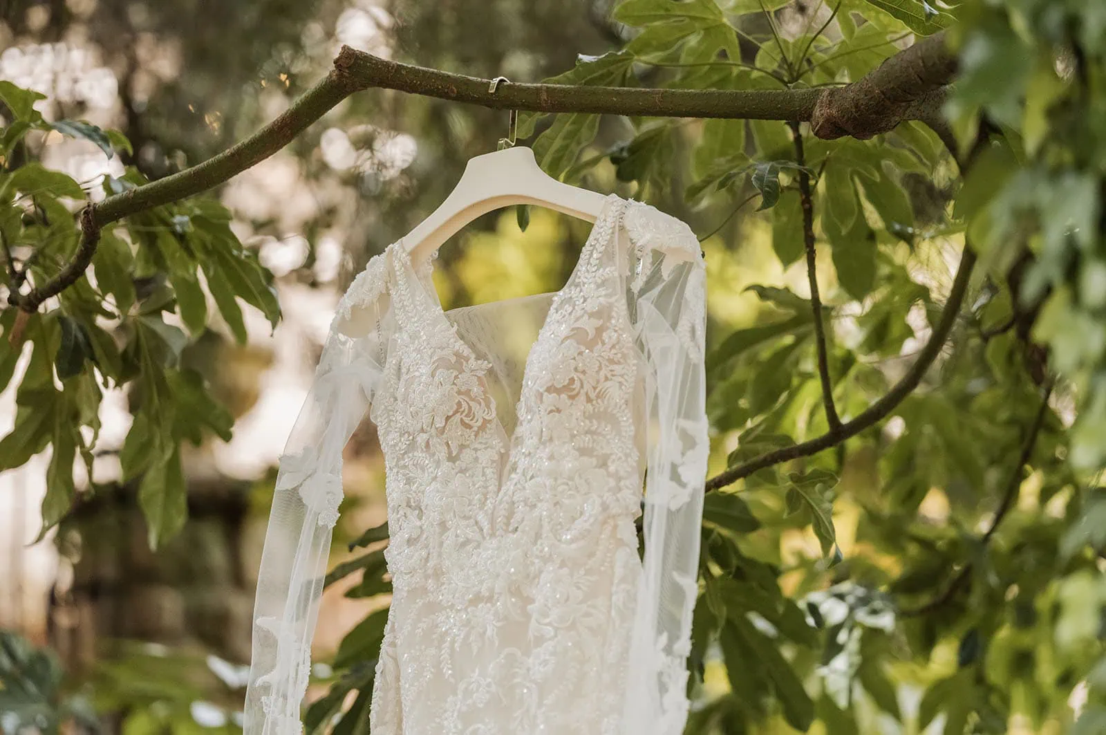 wedding at the manor in basket range - maryam & jason 119 Bride in elegant wedding dress amidst lush natural scenery.