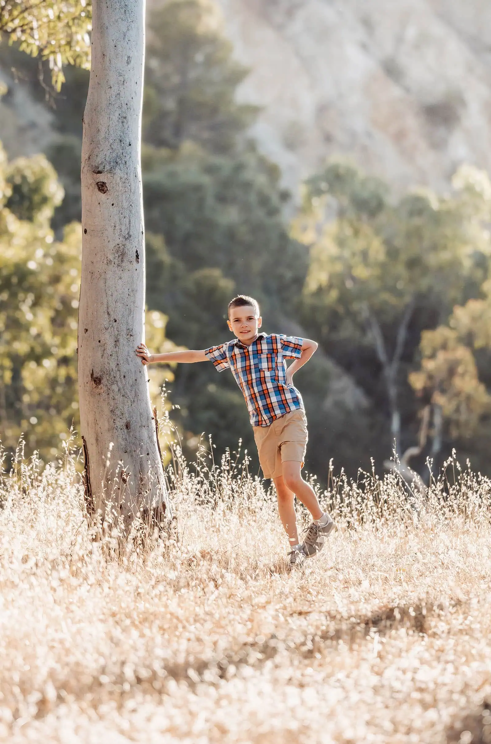 beautiful anstey hill family photoshoot 23 Young boy in sunlit meadow, leaning against tree, enjoying nature.