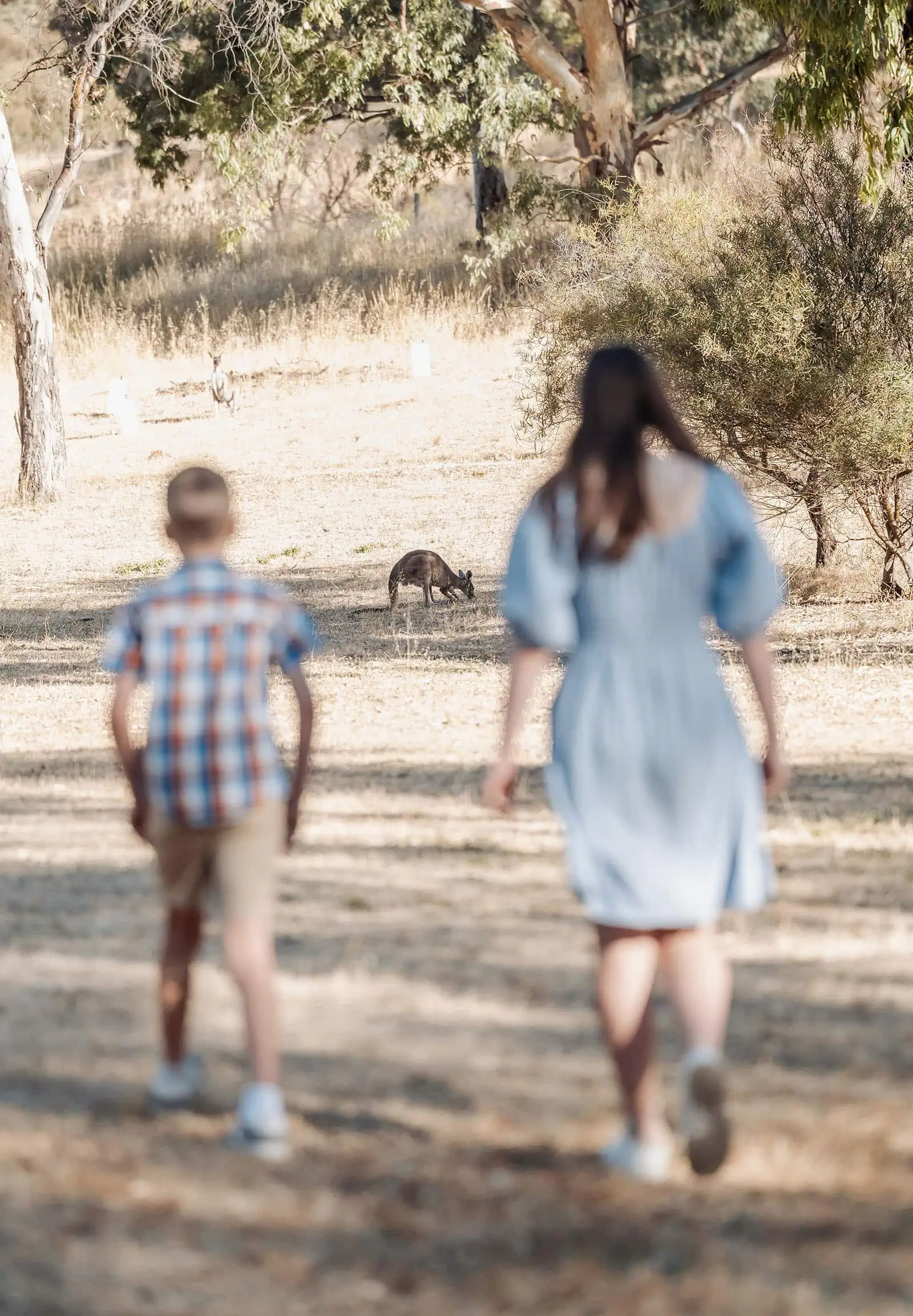 beautiful anstey hill family photoshoot 6 Boy and woman walking near kangaroo in sunlit Australian wilderness.