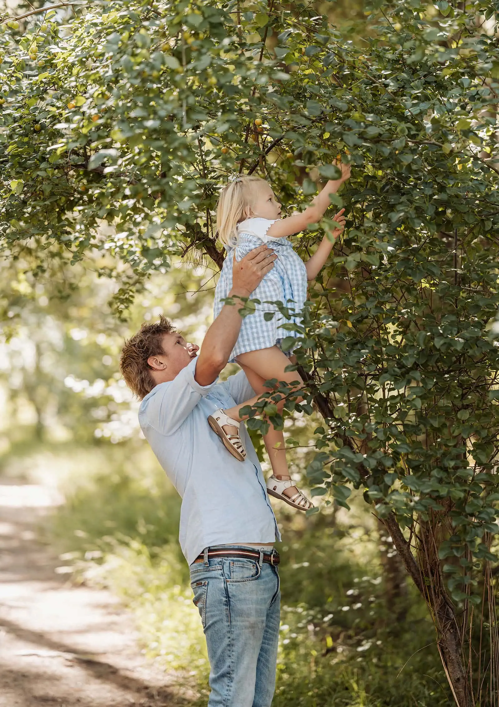 blackwood forest family photography 78 Father lifting daughter to reach tree fruit in sunny grove, symbolizing bond and exploration.