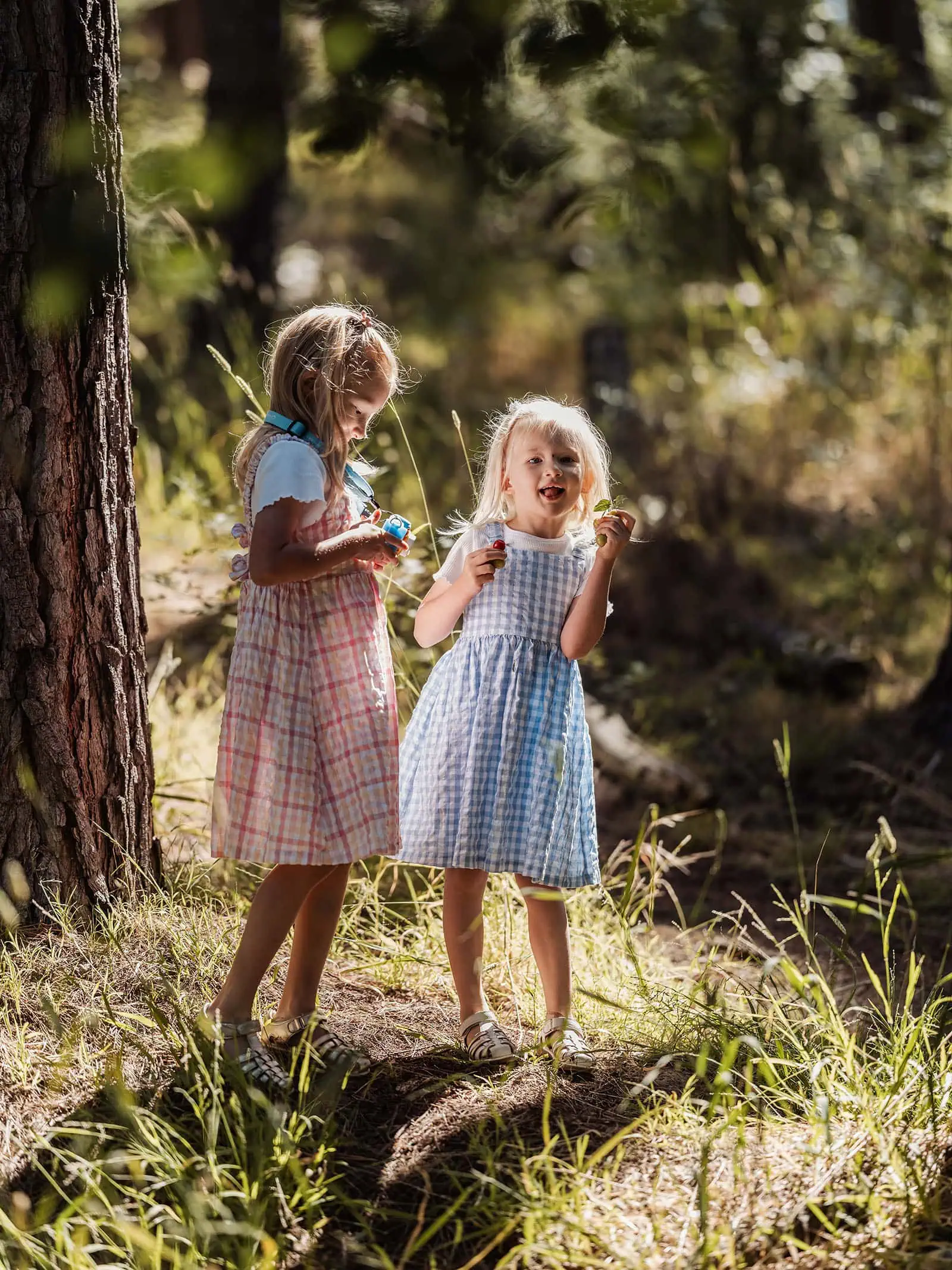 blackwood forest family photography 80 Two girls exploring a sunlit forest, wearing colorful dresses, embodying childhood joy and nature.