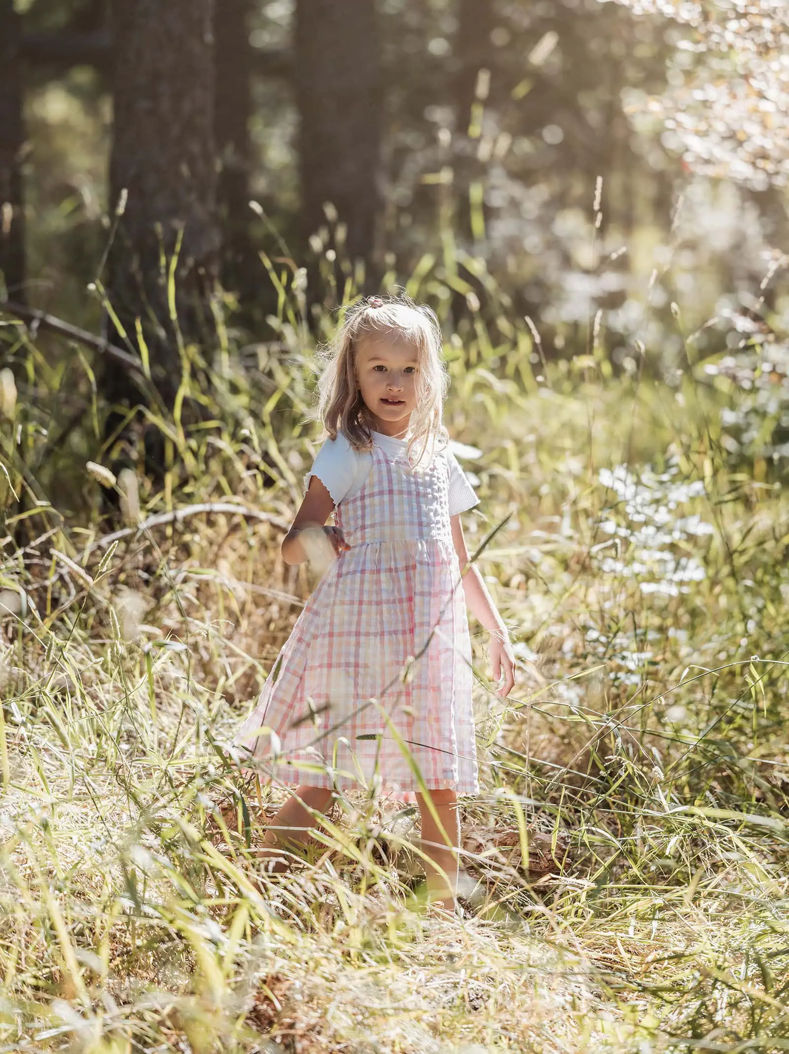 blackwood forest family photography 74 Young girl in woodland, sunlight highlights pastel plaid dress, embracing natures beauty.