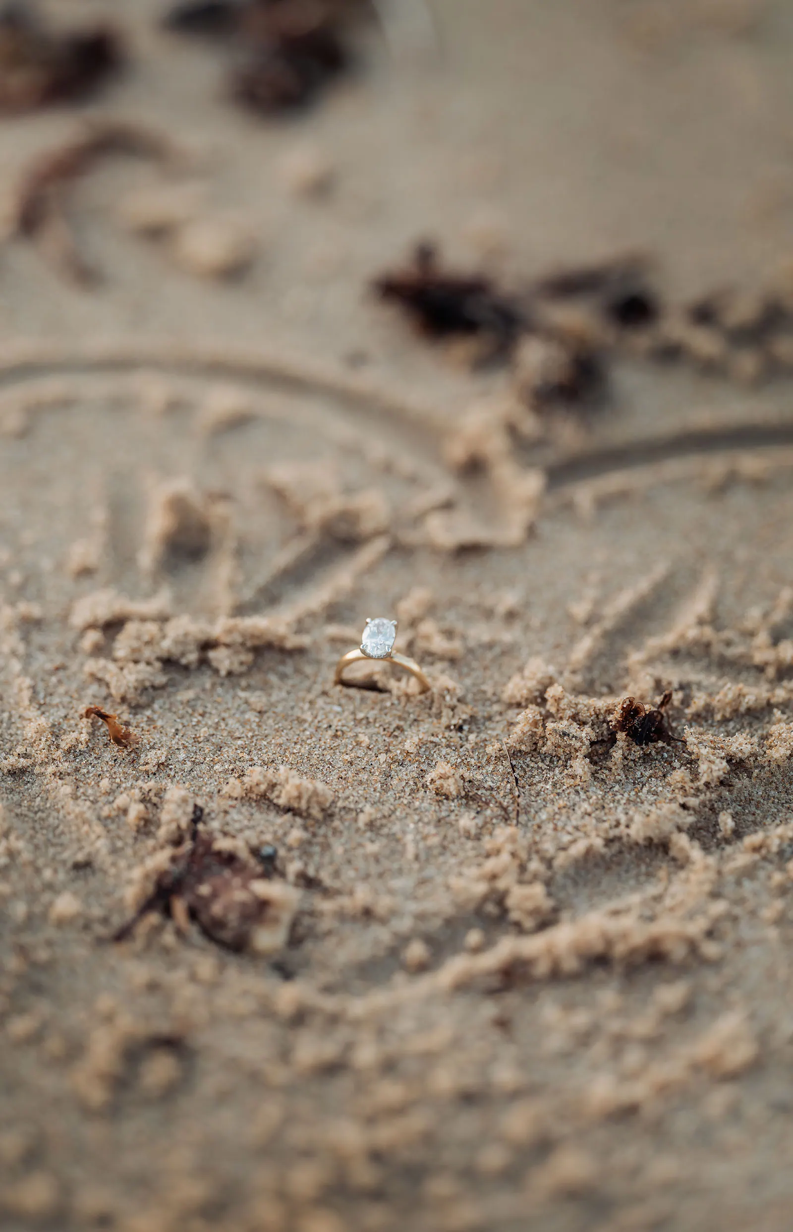 christies beach proposal – hollie & william 54 Christies Beach Proposal – Hollie & William 8
