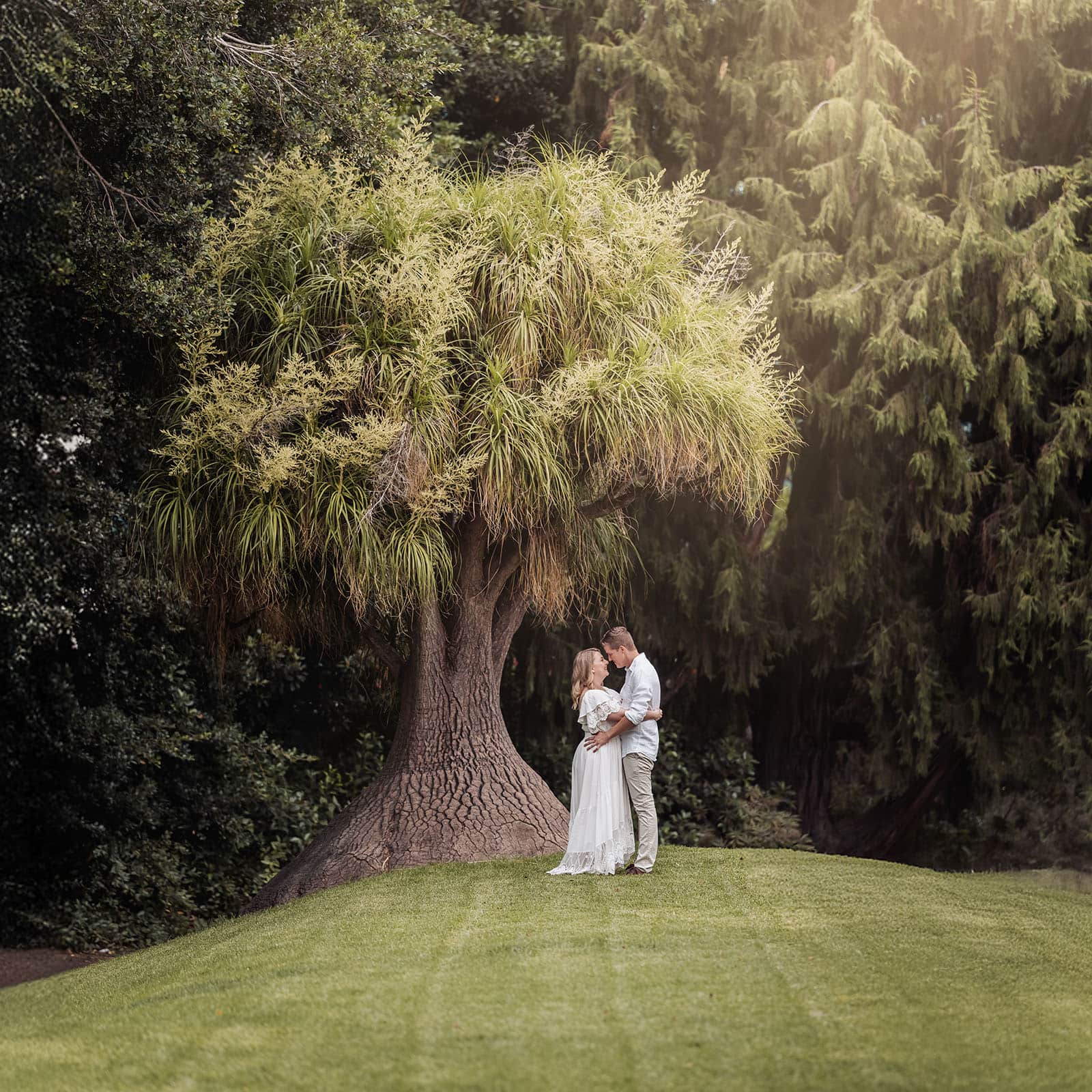 botanic gardens wedding shoot - olivia & sean 12 Romantic couple embracing under an unusual tree on a lush lawn.