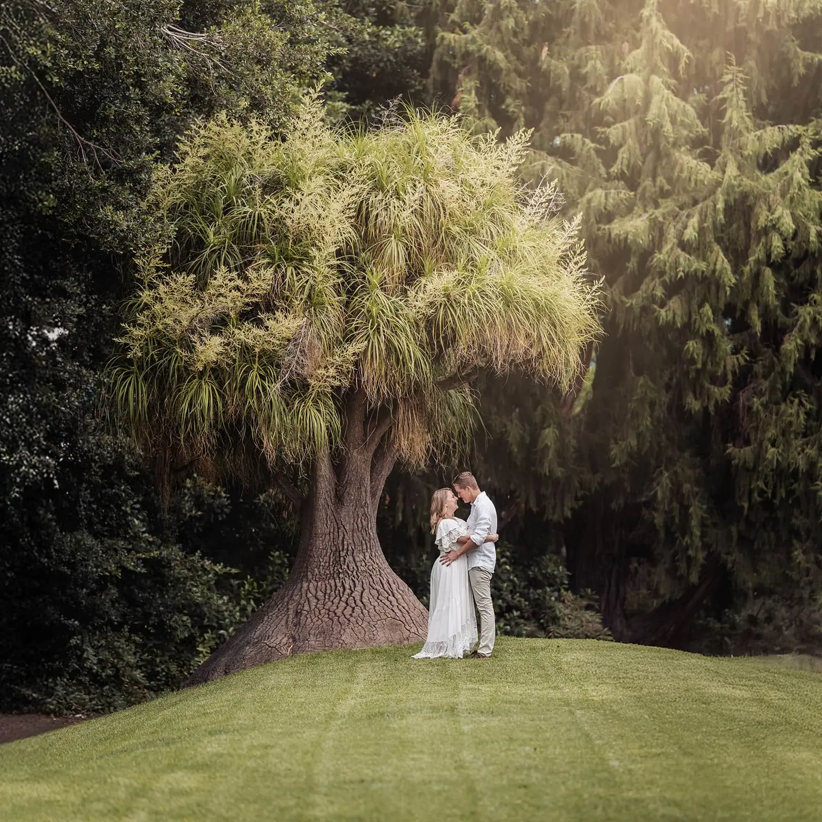 botanic gardens wedding shoot - olivia & sean 12 Romantic couple embracing under an unusual tree on a lush lawn.