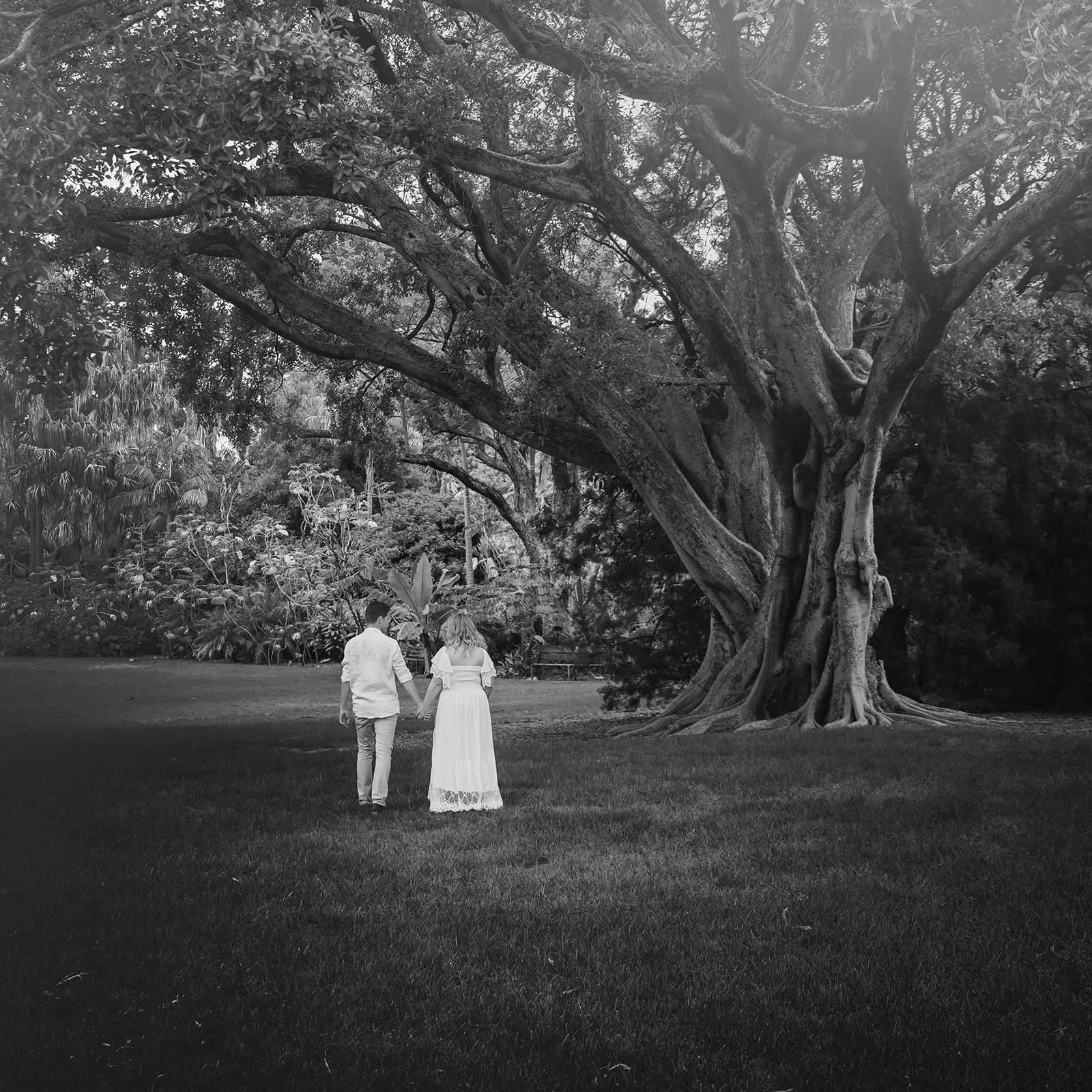 botanic gardens wedding shoot - olivia & sean 14 Couple walking hand in hand near ancient tree in lush landscape.