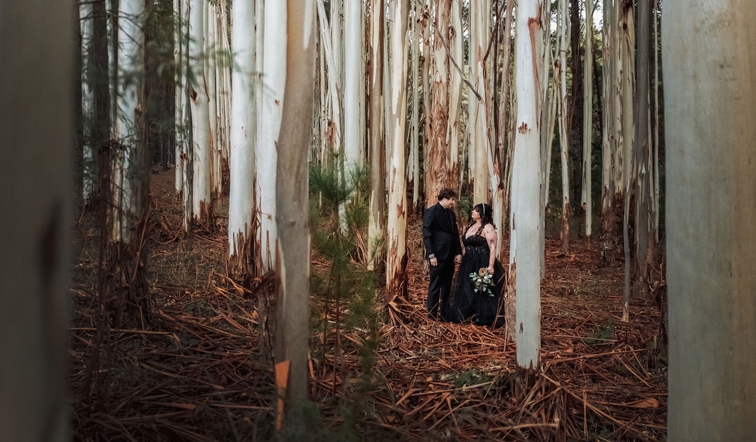 kuitpo forest metal themed wedding – erin & michael 22 Moody forest wedding portrait of couple among pale eucalyptus trees.