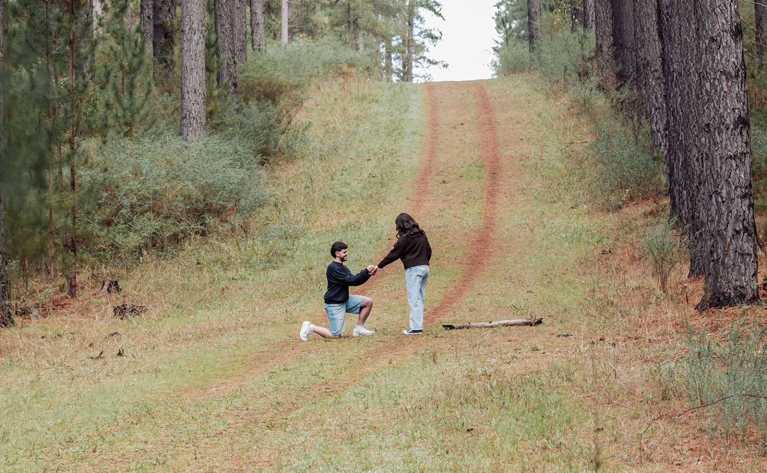 cabn at kuitpo forest proposal - tamsyn & blake 10 Proposal in forest: couple embraces amidst towering trees and serene natural beauty.