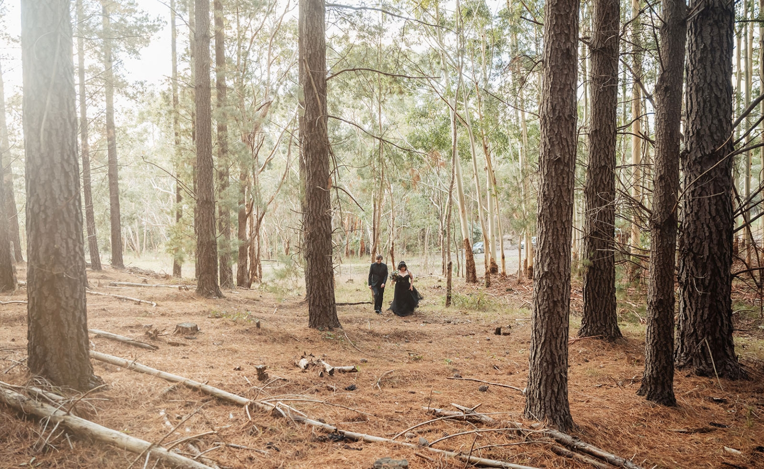 kuitpo forest metal themed wedding – erin & michael 3 Formal couple walking through sunlit pine forest wedding portrait.