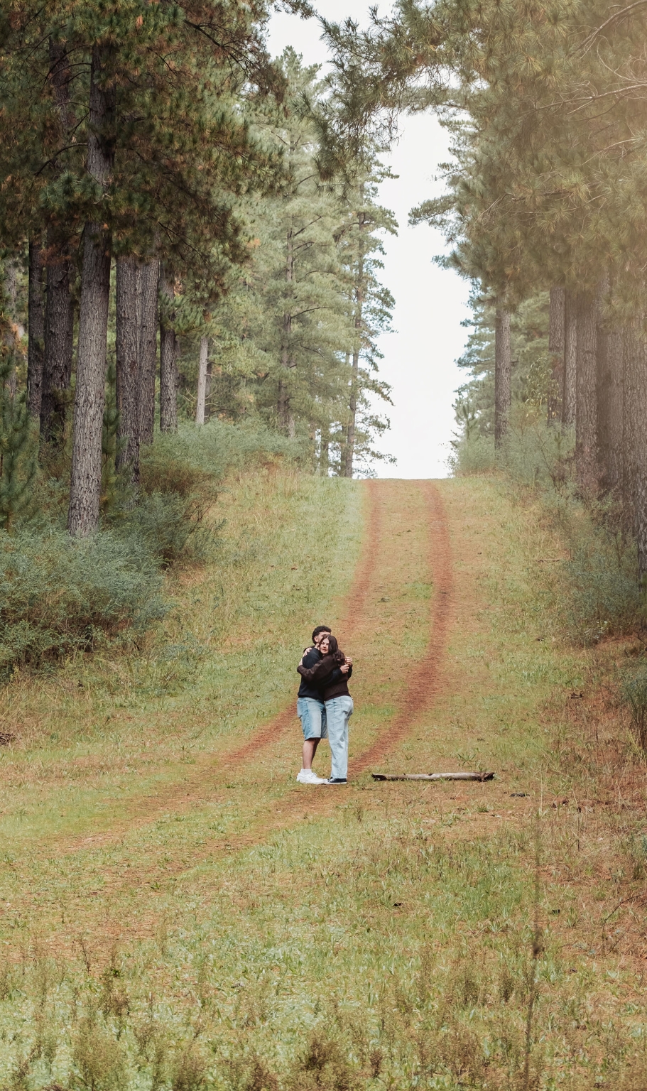 cabn at kuitpo forest proposal - tamsyn & blake 11 Couple walking on a serene forest trail under towering pine trees, enjoying nature.