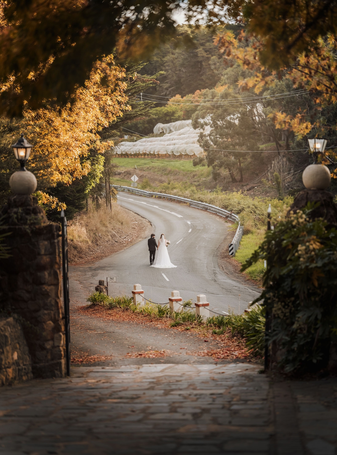 beautiful manor basket range wedding - sophie & theodore 126 Bride and groom walking down scenic country road amid fall foliage and rustic charm.