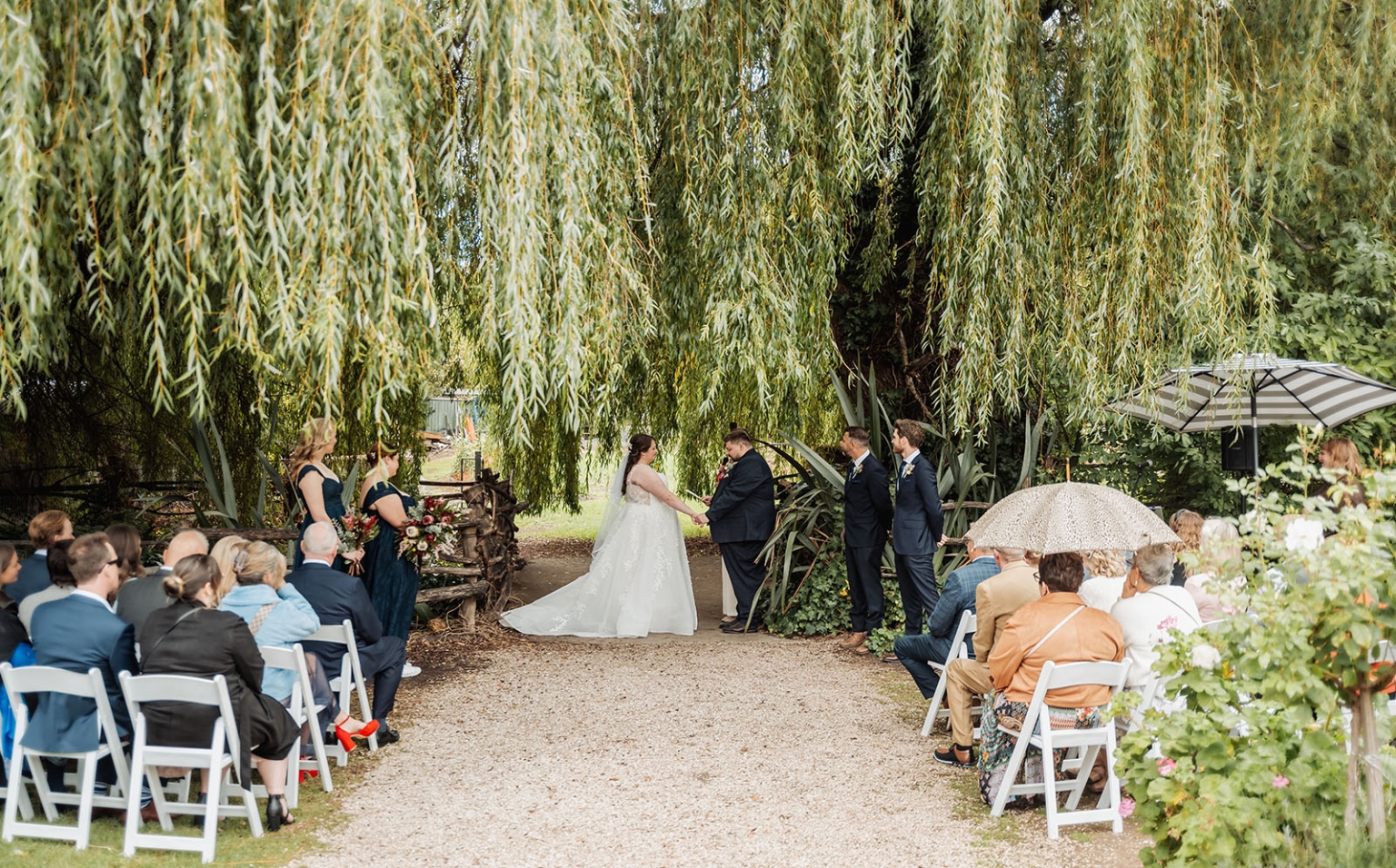 comida wedding - georgia & james 18 Outdoor wedding under a weeping willow with bride, groom, and guests.