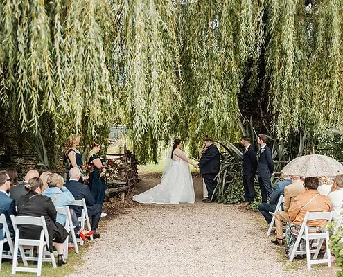Outdoor wedding under a weeping willow with bride, groom, and guests.