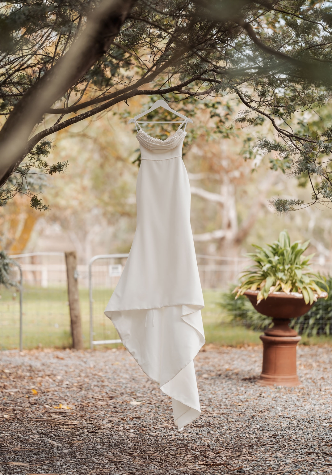 the lane vineyard wedding - caitlyn & craig 77 Wedding dress hanging from tree in serene, rustic outdoor setting.