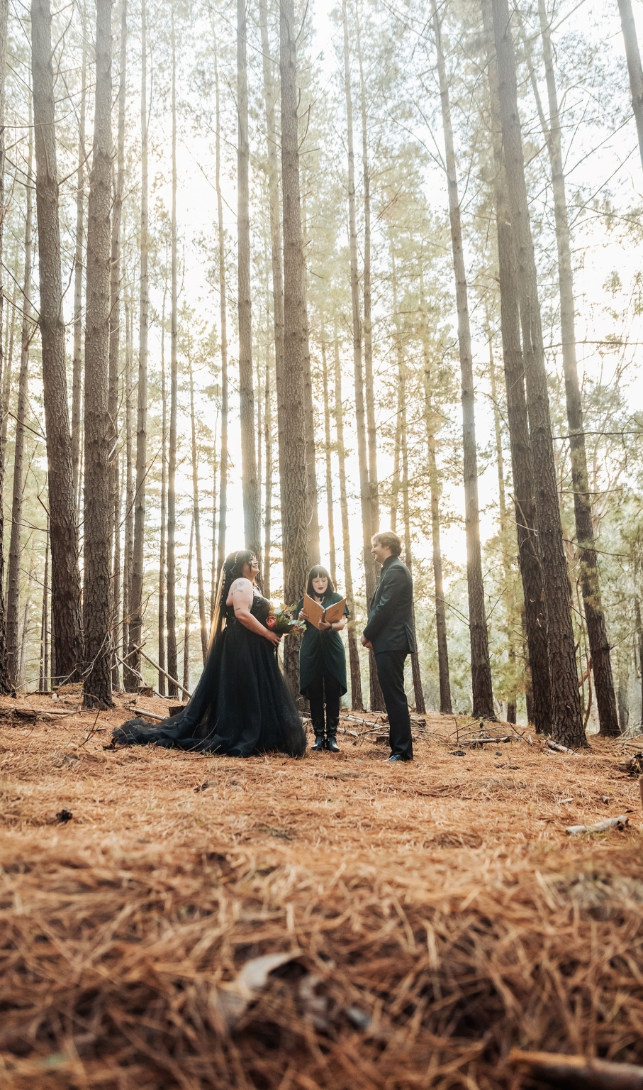 kuitpo forest metal themed wedding – erin & michael 10 Intimate pine forest wedding ceremony with bride in black dress and groom.