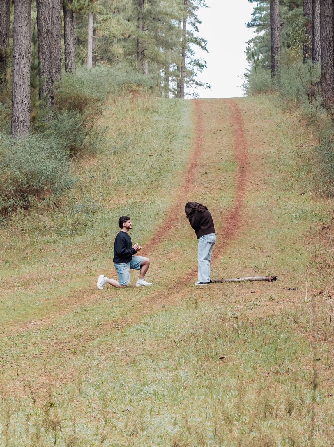 cabn at kuitpo forest proposal - tamsyn & blake 9 Couples proposal on a tree-lined path in a serene forest setting.